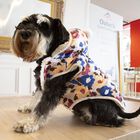 Outech Spring Abrigo para perros, , large image number null